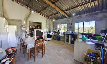 Imagem 7: Chácara à Venda em Toledo MG 6.500 m Tanque com peixes Pomar