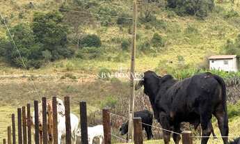 Imagem: SÍTIO À VENDA MUNHOZ MG GRANDE OPORTUNIDADE