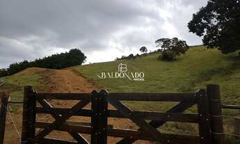 Imagem 7: SÍTIO À VENDA MUNHOZ MG GRANDE OPORTUNIDADE COM 4 ALQUEIRES