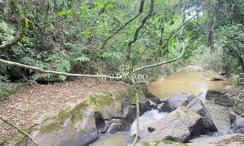 Imagem 4: Terrenos à Venda em Munhoz MG Oportunidade Única documentação ok