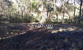 Imagem 6: Chácara em Extrema MG à Venda 2 quartos 6000M² com Escritura