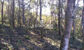 Imagem 2: Chácara em Extrema MG à Venda 2 quartos 6000M² com Escritura