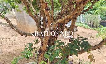 Imagem 6: Chácara em Extrema MG à venda 1.840m² Escritura 7 km do centro