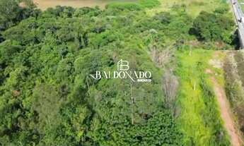 Imagem 5: ÁREA EM VARGEM SP À VENDA 32.800M² PRÓXIMO A FERNÃO DIAS