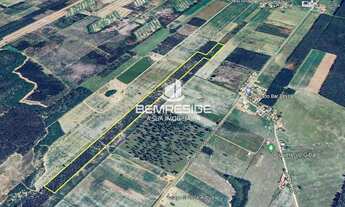 Imagem 4: Terreno com 9 hectares no bairro Morro Grande de Fora