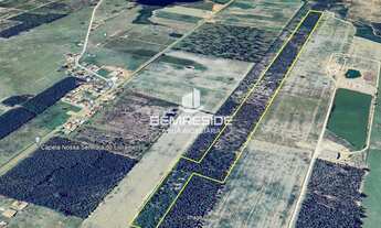 Imagem 2: Terreno com 9 hectares no bairro Morro Grande de Fora