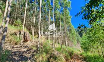 Imagem 5: Terreno rural com 3 hectares no bairro Morro das Pedras