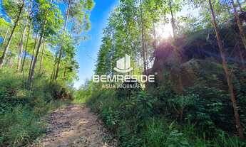 Imagem 6: Terreno rural com 3 hectares no bairro Morro das Pedras