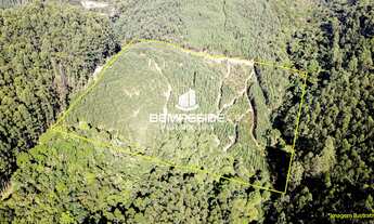 Imagem 4: Terreno rural com 3 hectares no bairro Morro das Pedras