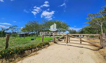 Imagem: Sítio com dois hectares escriturado no