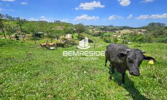 Imagem 6: Sítio com dois hectares escriturado no bairro Boa Vista em Treze de Maio-SC
