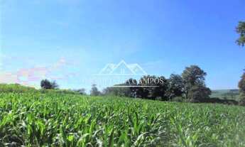 Imagem 1: SÍTIO DISTRITO VILA NOVA - TOLEDO-PR