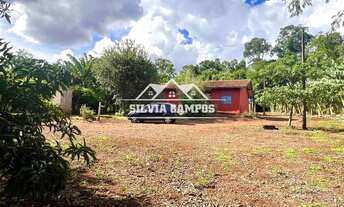 Imagem 4: SÍTIO DISTRITO VILA NOVA - TOLEDO-PR