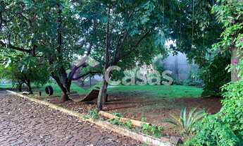 Imagem 2: Chácara à venda, Pilar Parque Campestre, FOZ DO IGUACU - PR