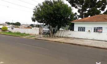 Imagem 1: Casa em Uvaranas