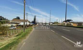 Imagem 2: Terreno à venda,2500.00 m , Chapada, PONTA GROSSA - PR