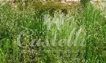 Imagem 4: Terreno Centro, 311M² de Área Construída na Rua Barão Do Cerro Azul