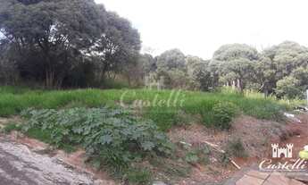 Imagem: Terreno à venda, Jardim América, PONTA