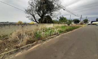 Imagem 3: Terreno no Jardim Carvalho