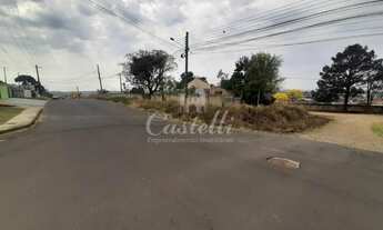 Imagem 6: Terreno no Jardim Carvalho