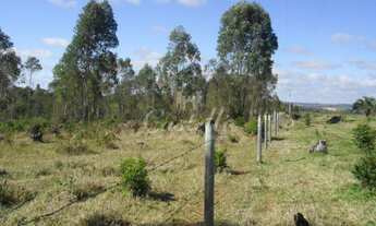 Imagem 6: Terreno à venda, Colonia Dona Luiza, PONTA GROSSA - PR