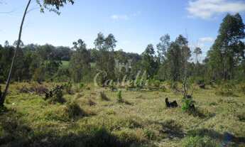 Imagem 7: Terreno à venda, Colonia Dona Luiza, PONTA GROSSA - PR