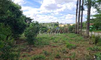 Imagem 3: Chácara a venda no distrito de Guaragi em Ponta Grossa Paraná