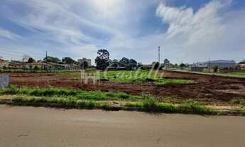 Imagem 3: Lote para locação, Uvaranas, PONTA GROSSA - PR