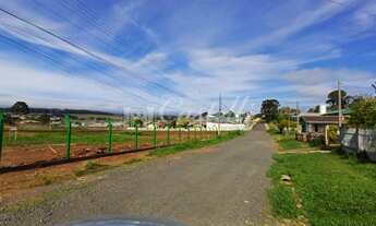 Imagem 5: Lote para locação, Uvaranas, PONTA GROSSA - PR