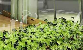 Imagem 6: Apartamento à venda, Centro, PONTA GROSSA - PR