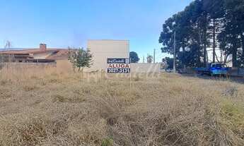 Imagem: Excelente Terreno para locação, Uvaranas