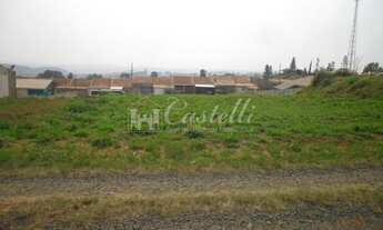 Imagem: Terreno à venda, Periquitos, PONTA GROSSA