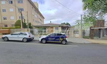 Imagem: Residencia para locação, em Uvaranas