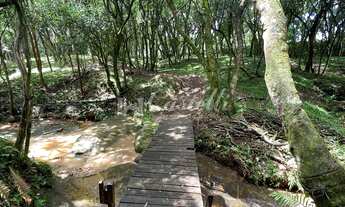 Imagem 7: Terreno à venda, Distrito de Guaragi, PONTA GROSSA - PR