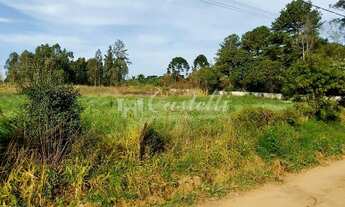 Imagem 5: Terreno à venda, Distrito de Guaragi, PONTA GROSSA - PR