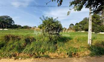 Imagem: Terreno à venda, Distrito de Guaragi, PONTA