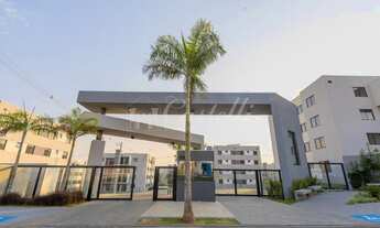 Imagem: Apartamento à venda, Jardim Carvalho, PONTA