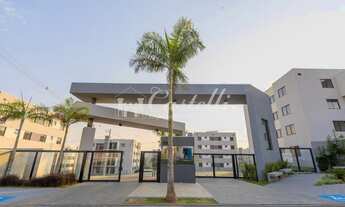 Imagem: Apartamento para locação, Jardim Carvalho