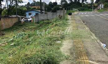 Imagem 4: Terreno à venda, Orfãs, PONTA GROSSA - PR