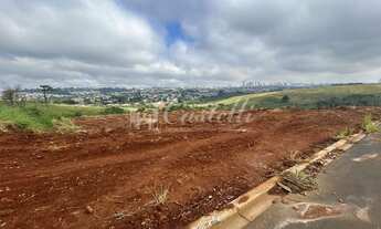Imagem: Terrenos à venda, no Bairro Uvaranas, PONTA