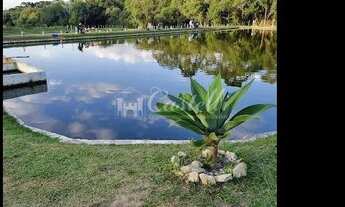 Imagem: PESQUEIRO à venda, Distrito de Guaragi