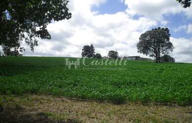 Imagem 4: Rural à venda, Uvaranas, PONTA GROSSA - PR