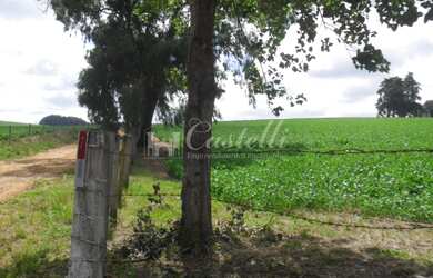 Imagem 6: Rural à venda, Uvaranas, PONTA GROSSA - PR