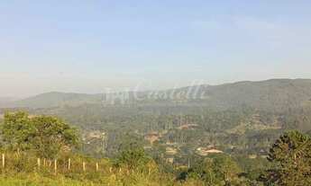 Imagem: CHACARA A VENDA HERVAL DOS LIMA EM CASTRO