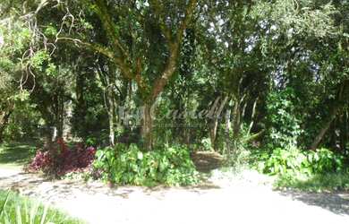 Imagem 6: Chácara à venda, Centro, ITAIACOCA - PR