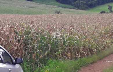 Imagem 4: CHÁCARAS NAS CANDEIAS