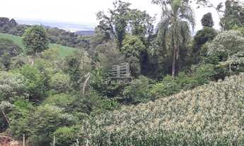 Imagem 5: CHÁCARAS NAS CANDEIAS