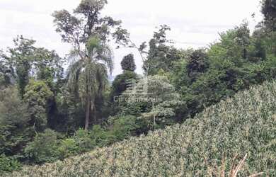 Imagem 6: CHÁCARAS NAS CANDEIAS