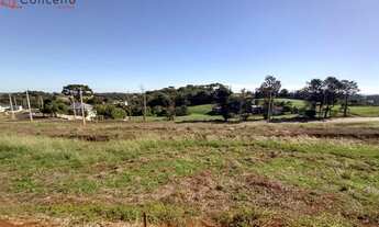 Imagem: Terreno Loteamento Tumeleiro - Bairro Parzianello