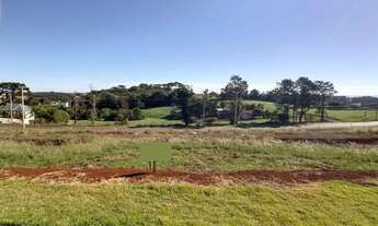 Imagem 2: Terreno Loteamento Tumeleiro - Bairro Parzianello